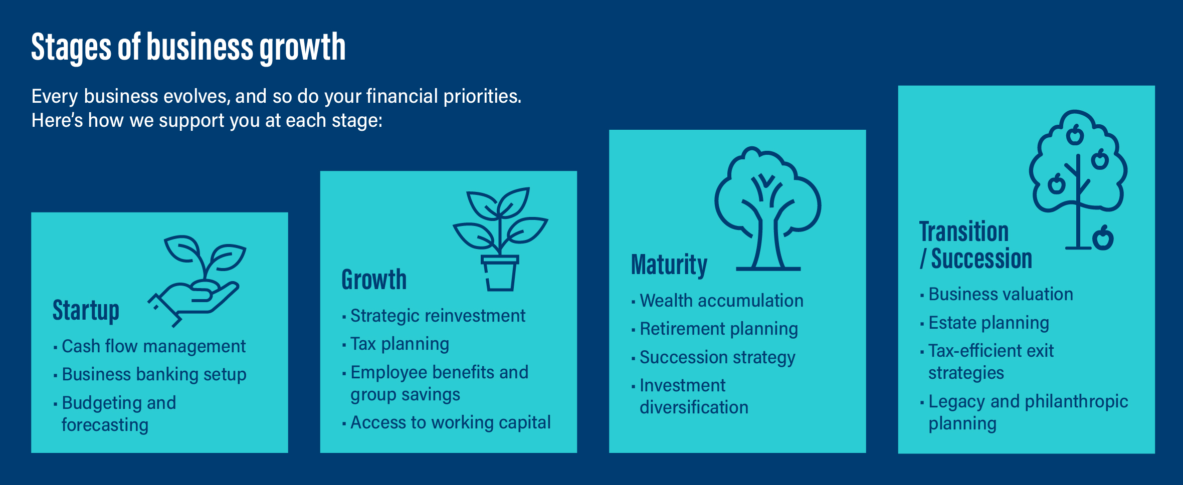 Wealth planning for business owners infographic